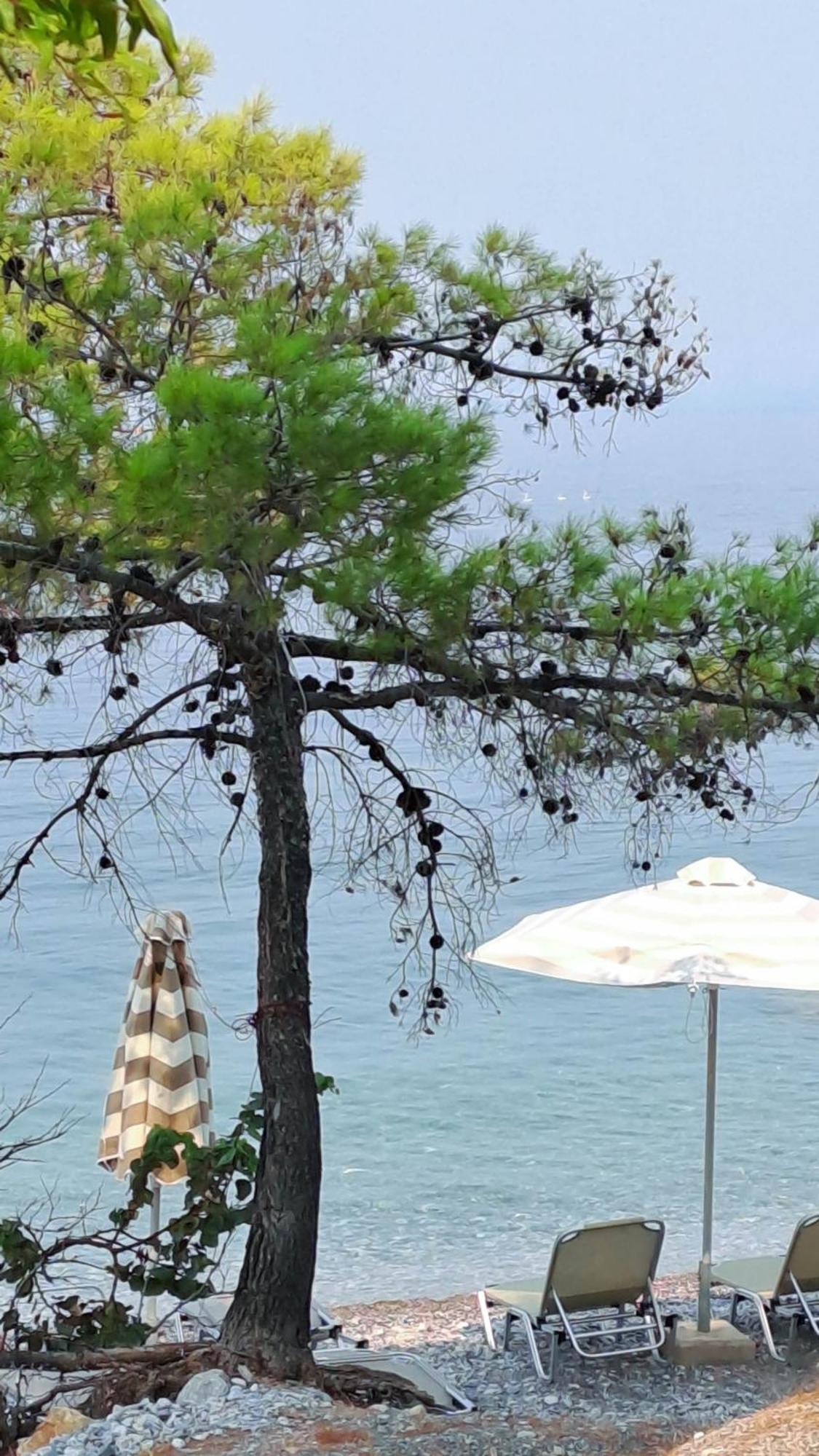 Nama Beach House Arkadiko Chorio Luaran gambar