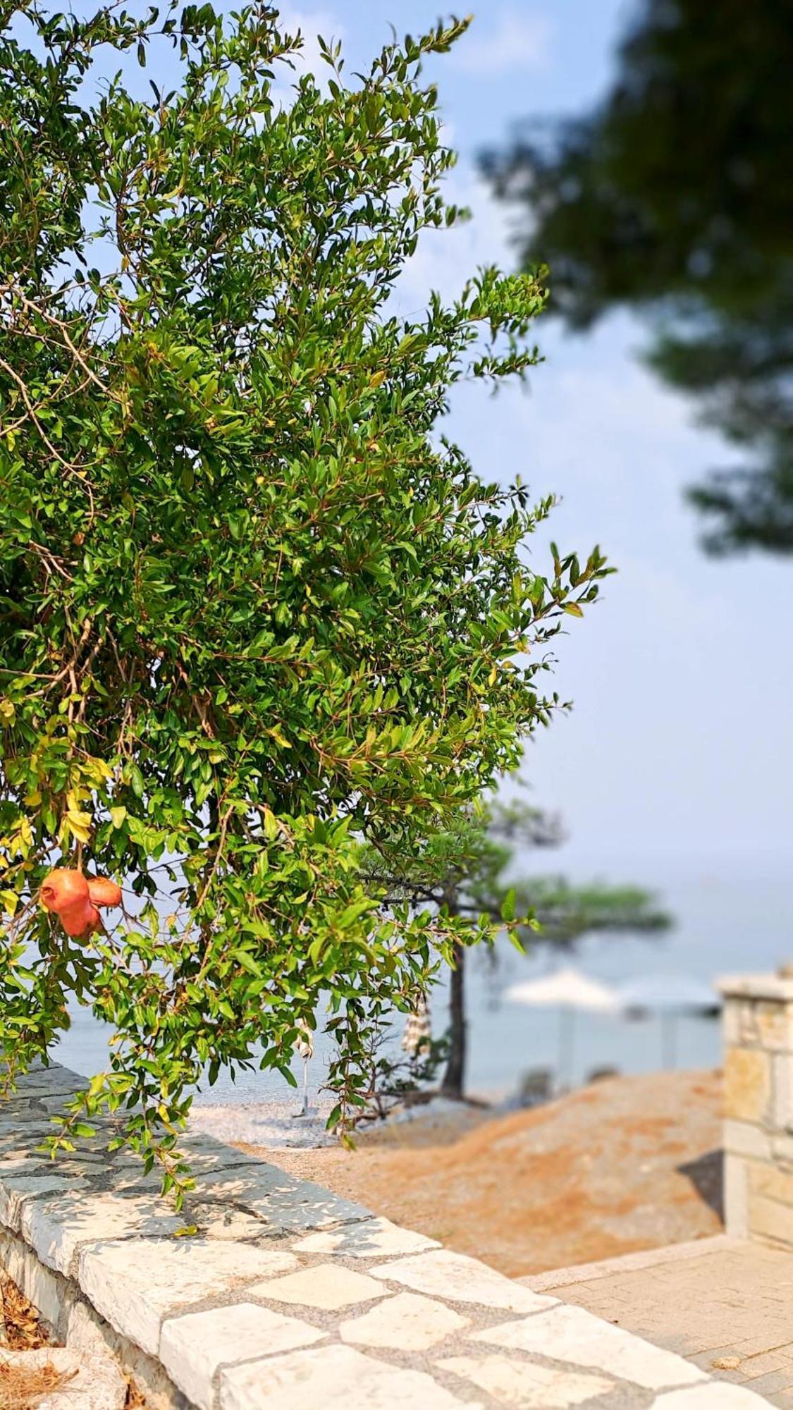 Nama Beach House Arkadiko Chorio Luaran gambar